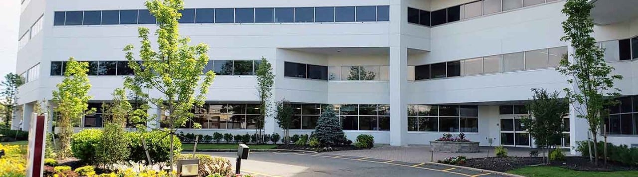 Modern white office building with landscaped entrance, shrubs, parking lot and young trees