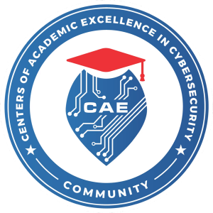 cae